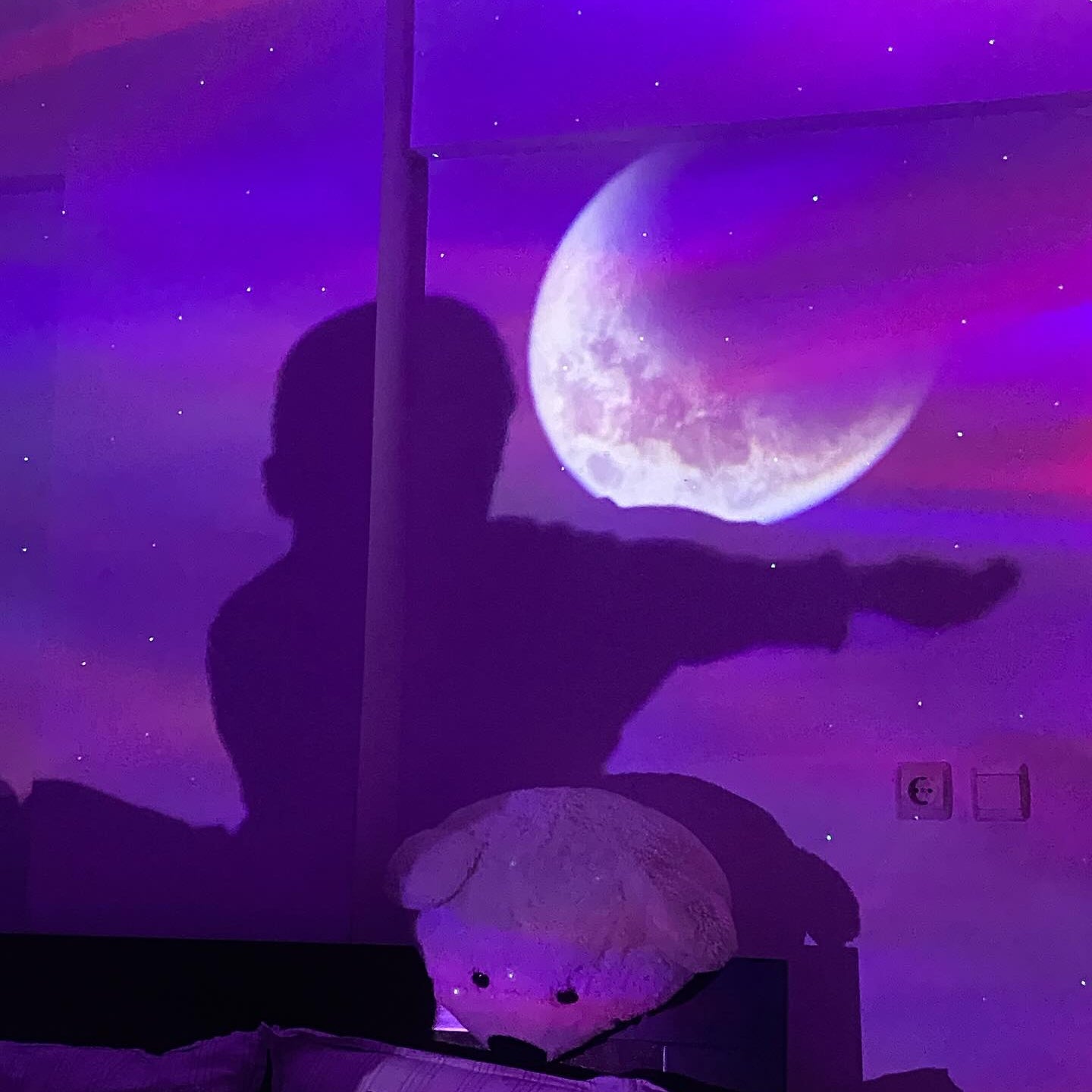 AuroraCovers® Kuzey Işıkları Projektör